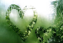 开云体育在线-钢铁防线瓦解！深圳队客场逆袭背后的齿轮如何精密咬合