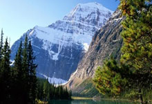 开云体育APP下载-莱比锡猎人队绝杀封王！暴雨夜上演逆天改命神话