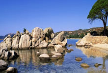 开云体育在线-西悉尼流浪者进攻端火力强劲，欲破蒙特雷防线