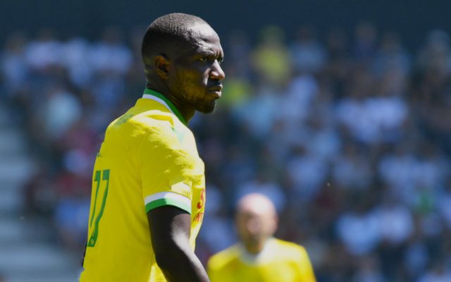 关于南特遭遇连败，距离保级区仅一步之遥的信息