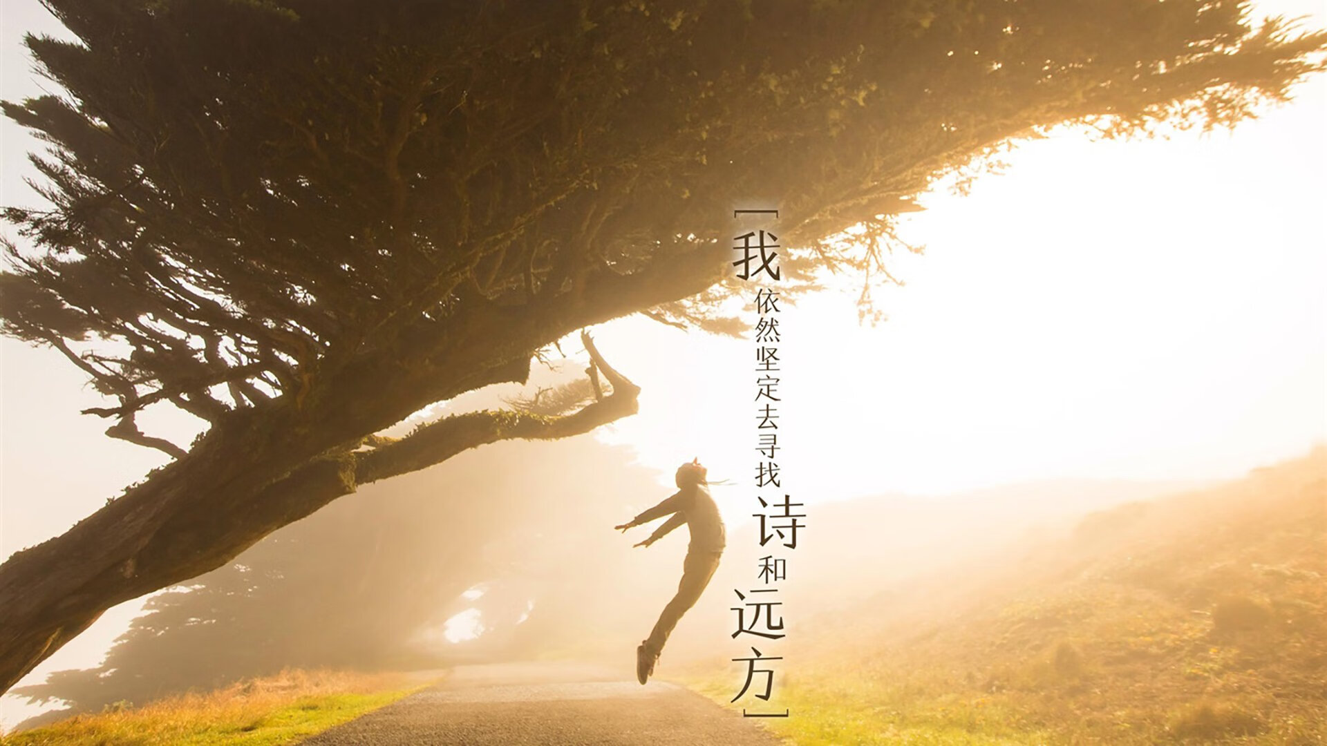 冰与火的终极交响,当骑士的铁骑踏破爵士的铜墙铁壁