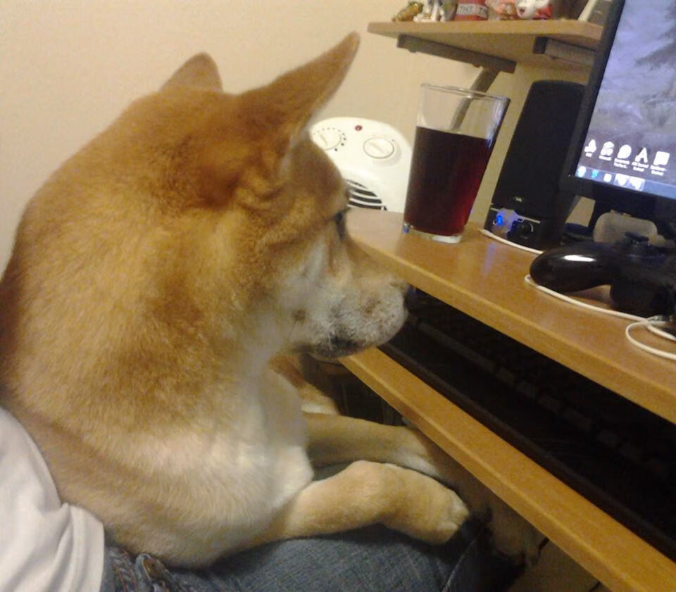 开云体育中国-铁壁莱万锁死黄色潜艇，莱比锡红牛战术博弈险胜过关