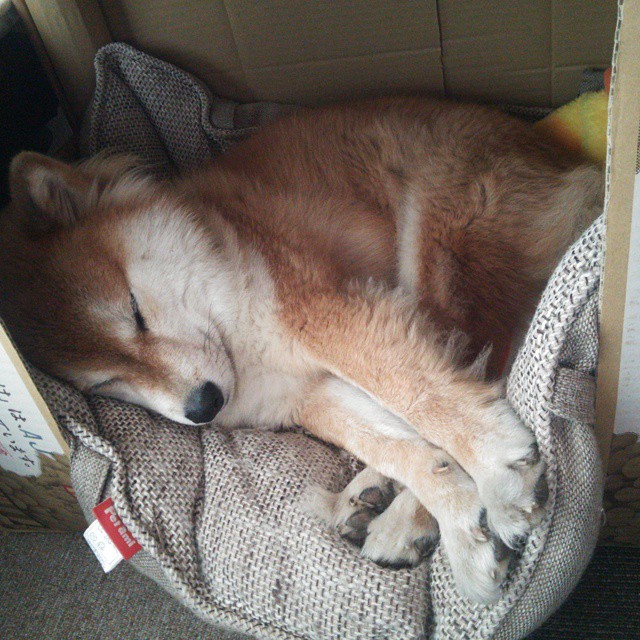 开云体育下载-碾压背后，当克莱化身防守铁链，篮球的终极暴力美学正在进化