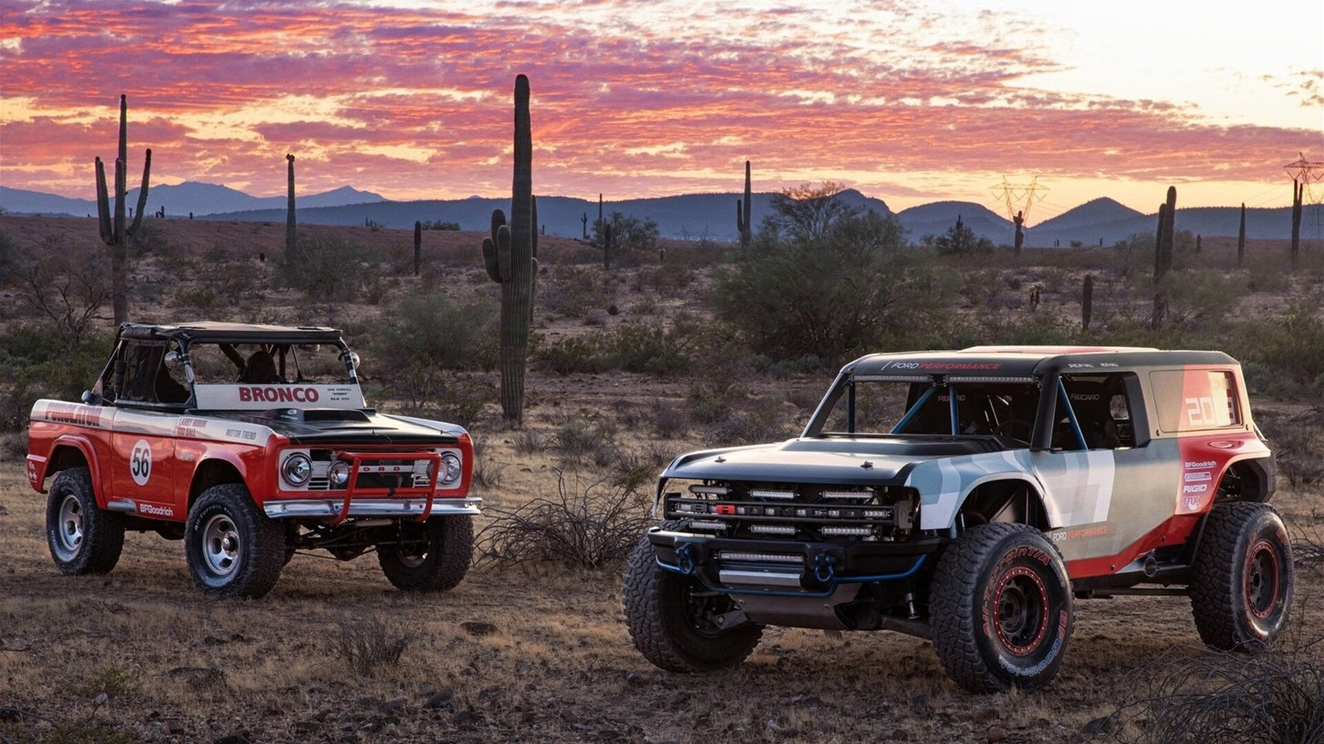碾压背后,当克莱化身防守铁链,篮球的终极暴力美学正在进化
