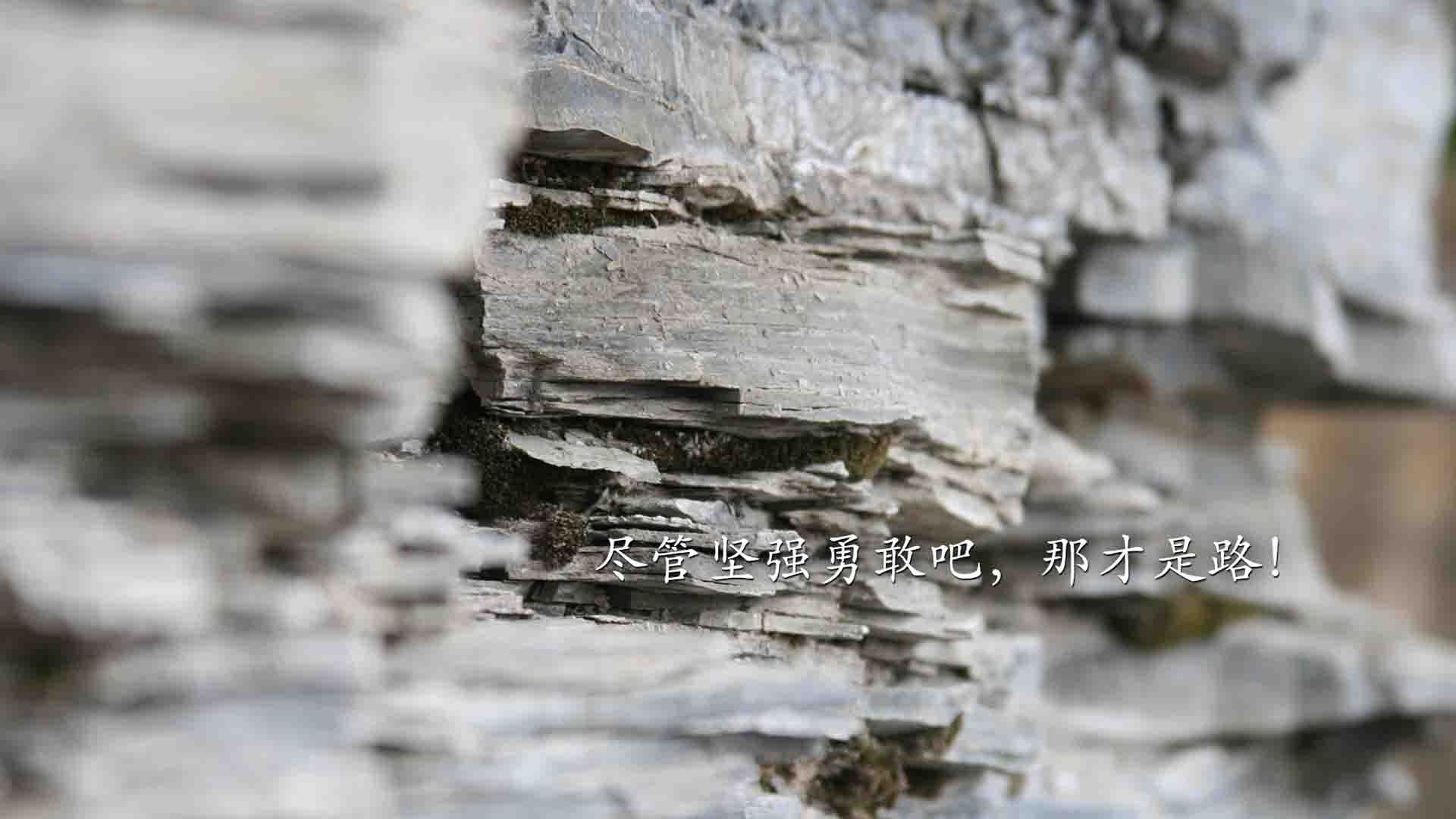 开云体育官方网站-德里赫特爆发！巴萨式防守锁死哥斯达黎加，橙衣军团吹响争冠号角