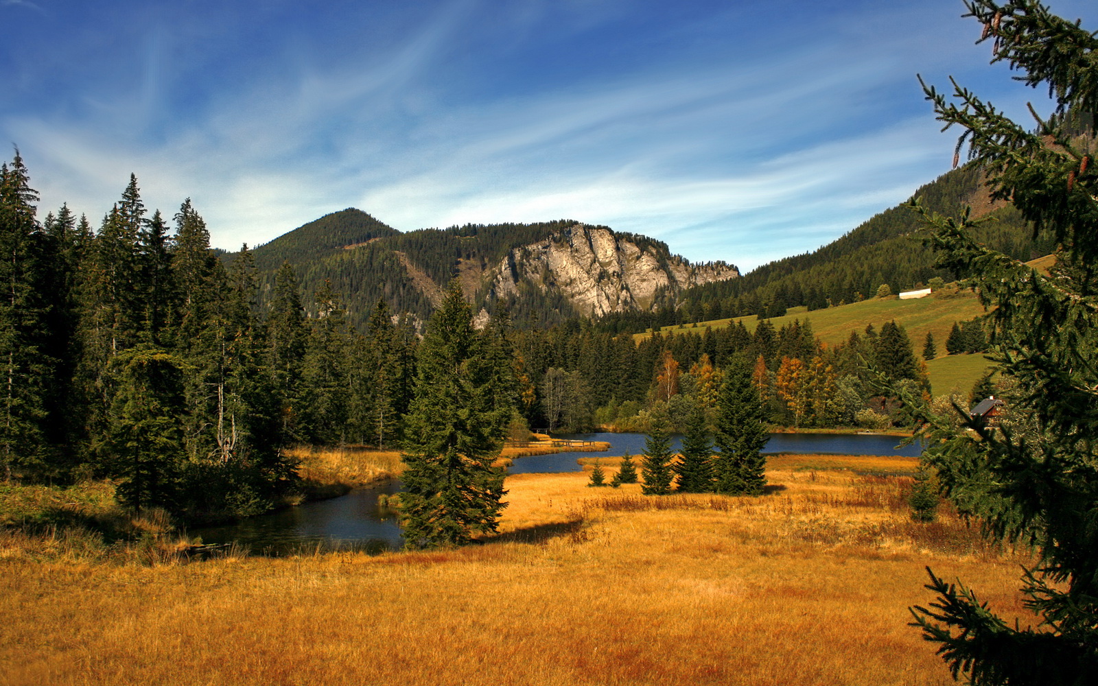 东契奇闪耀世界排名争夺战之夜,关键节点连续得分铸就传奇