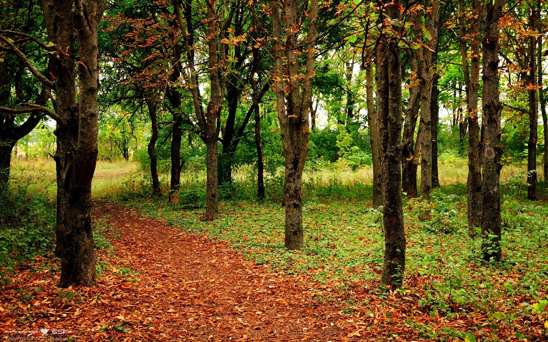 险境铸英雄，阿圭罗末节绝杀，玻利维亚撕裂牙买加防线