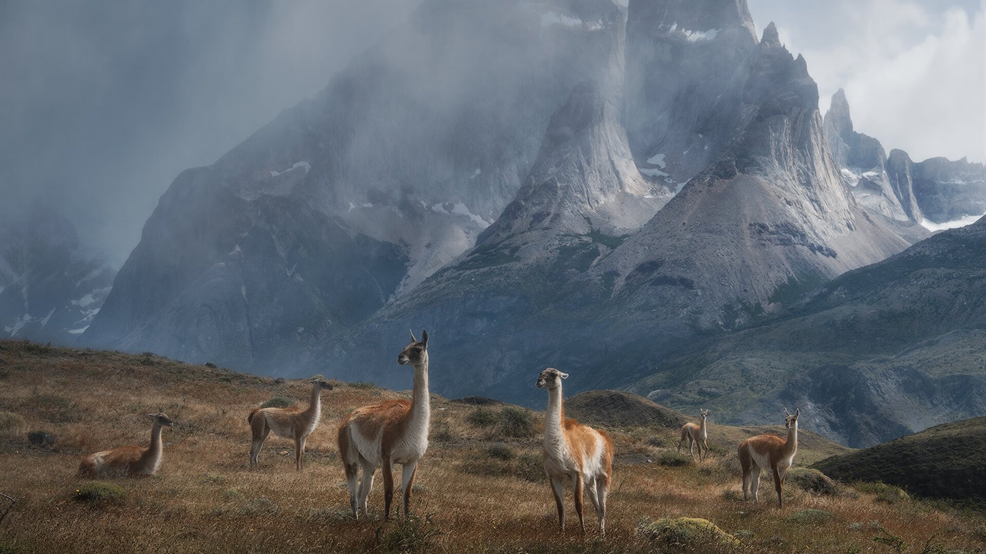开云体育APP下载-绿茵镜像，德甲争冠压力下的爱尔兰逆袭马里之战