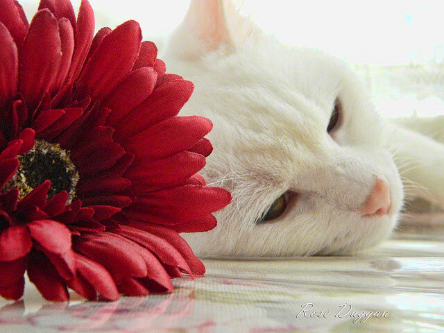 开云体育app-星夜破关，哈登率快船加时险胜山西，稳定输出诠释巨星价值