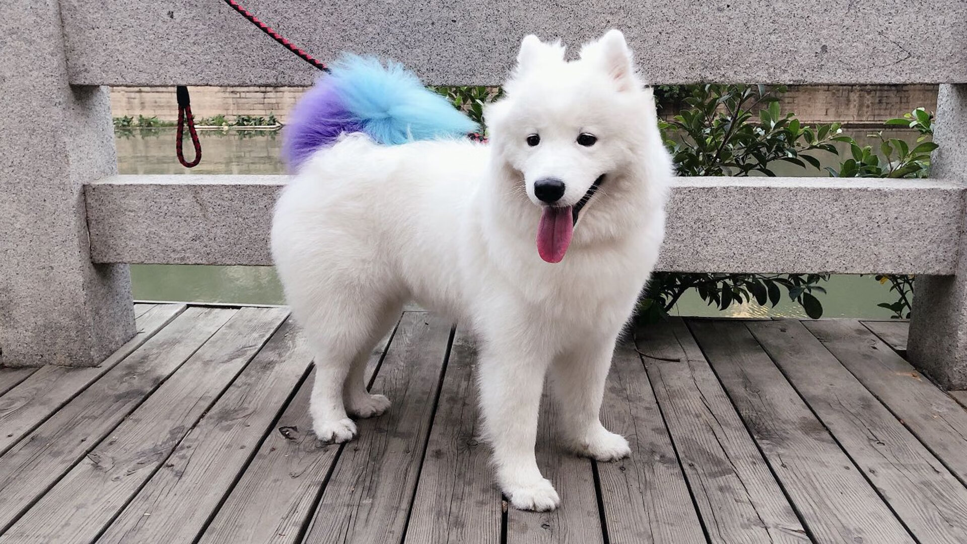 开云下载-欧冠决赛级别的攻防，沙特绿色猎鹰如何用高位逼抢冲垮厄瓜多尔防线