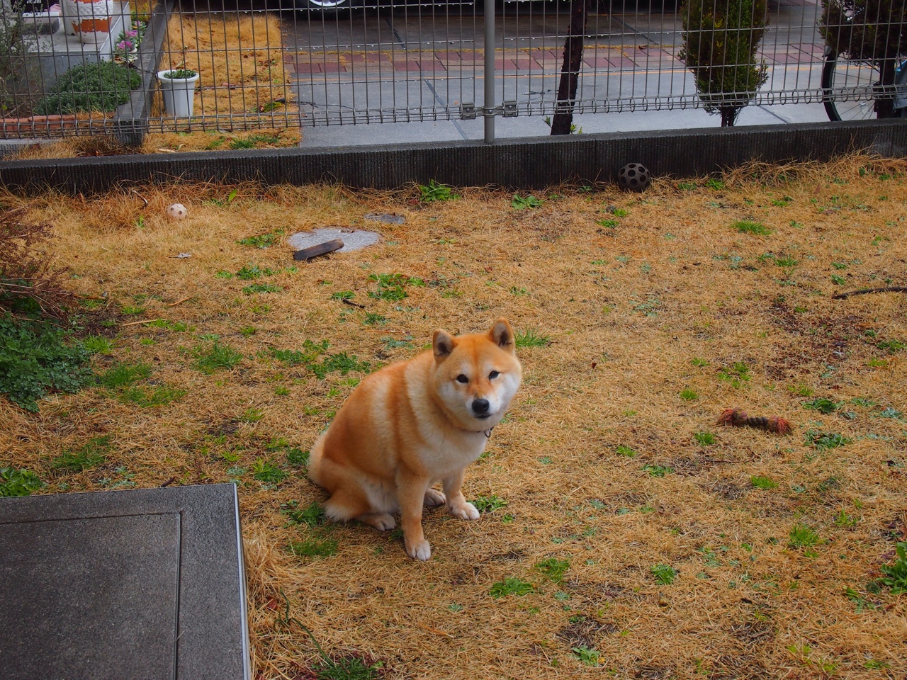 开云体育-世界排名争夺战焦点战，巴拉圭击败阿根廷，南美足坛再起风云