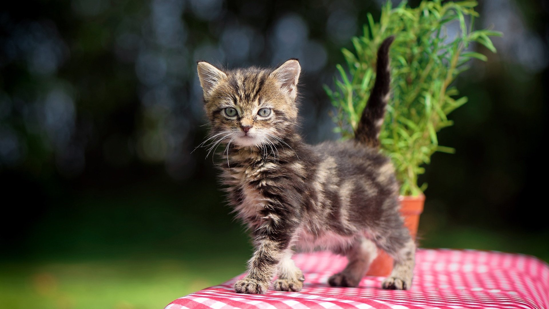 东方绝杀夜与西方接管者，当深篮硬仗基因遇见NBA封神时刻