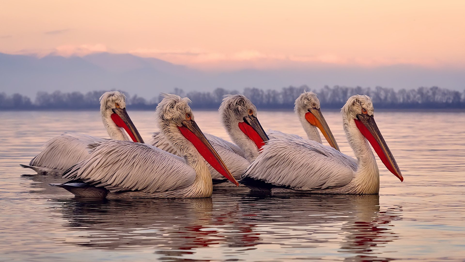 利拉德统治全场，掘金速胜快船尽显冠军相