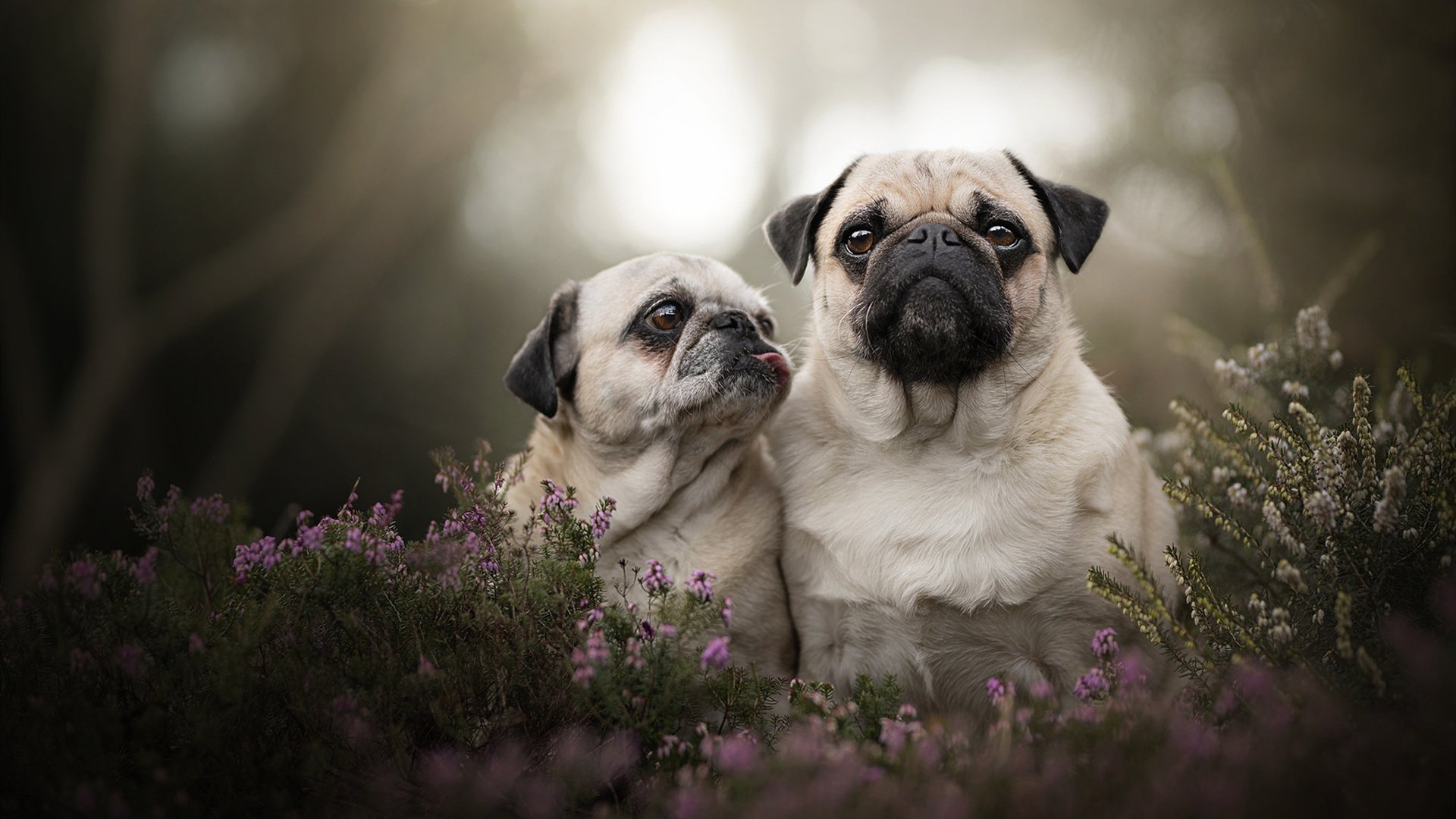 欧冠决赛之夜，英格拉姆，硬仗之王的加冕礼