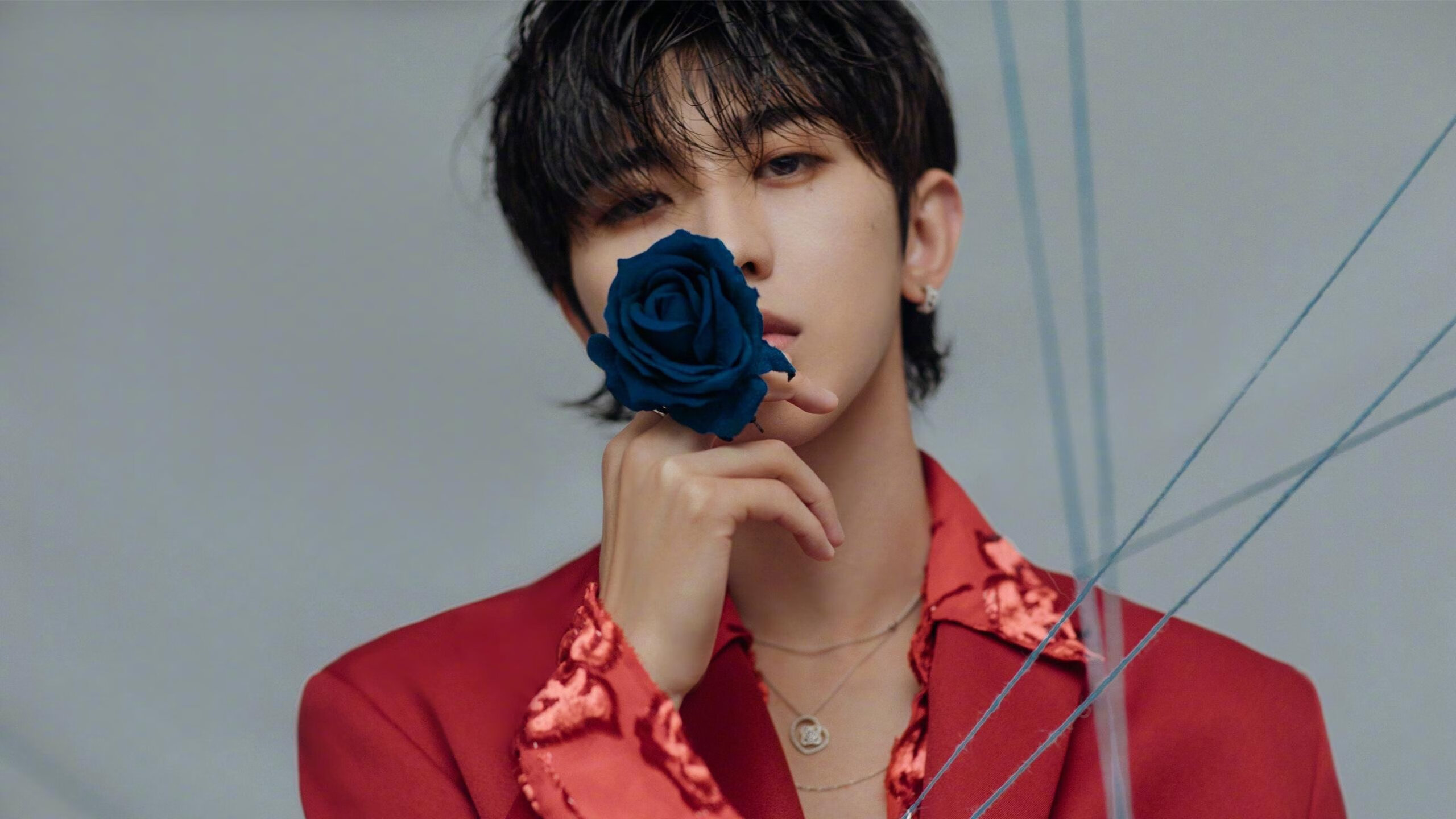 美加墨世界杯焦点战，德国战车碾碎蓝桥防线，战术纪律决胜淘汰赛