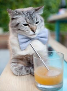 莱万多夫斯基生涯之夜，雷恩与哥斯达黎加的激情碰撞