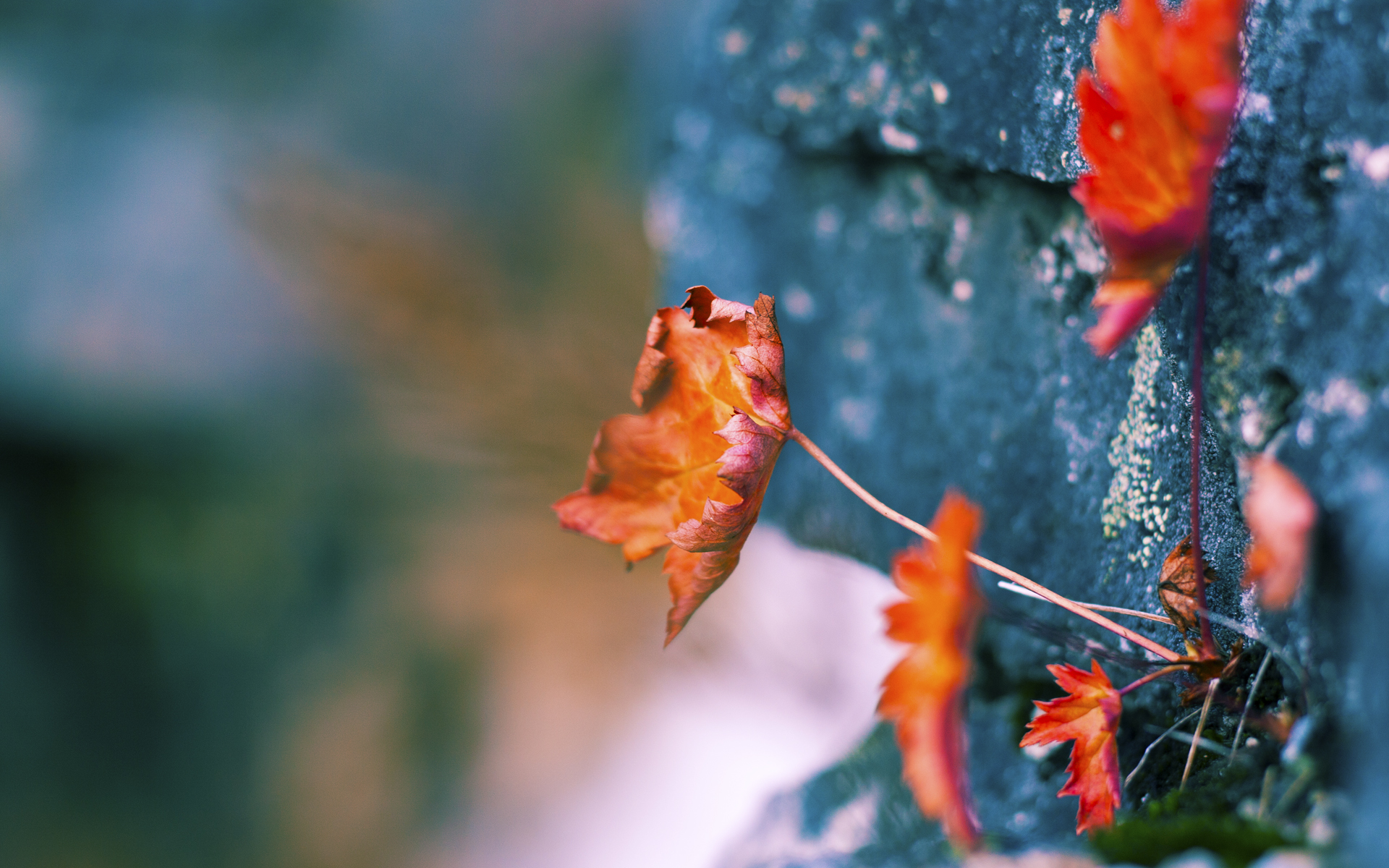 最寒冷的火焰，西决生死战，吉林队如何用血肉长城掀翻广厦巨舰？