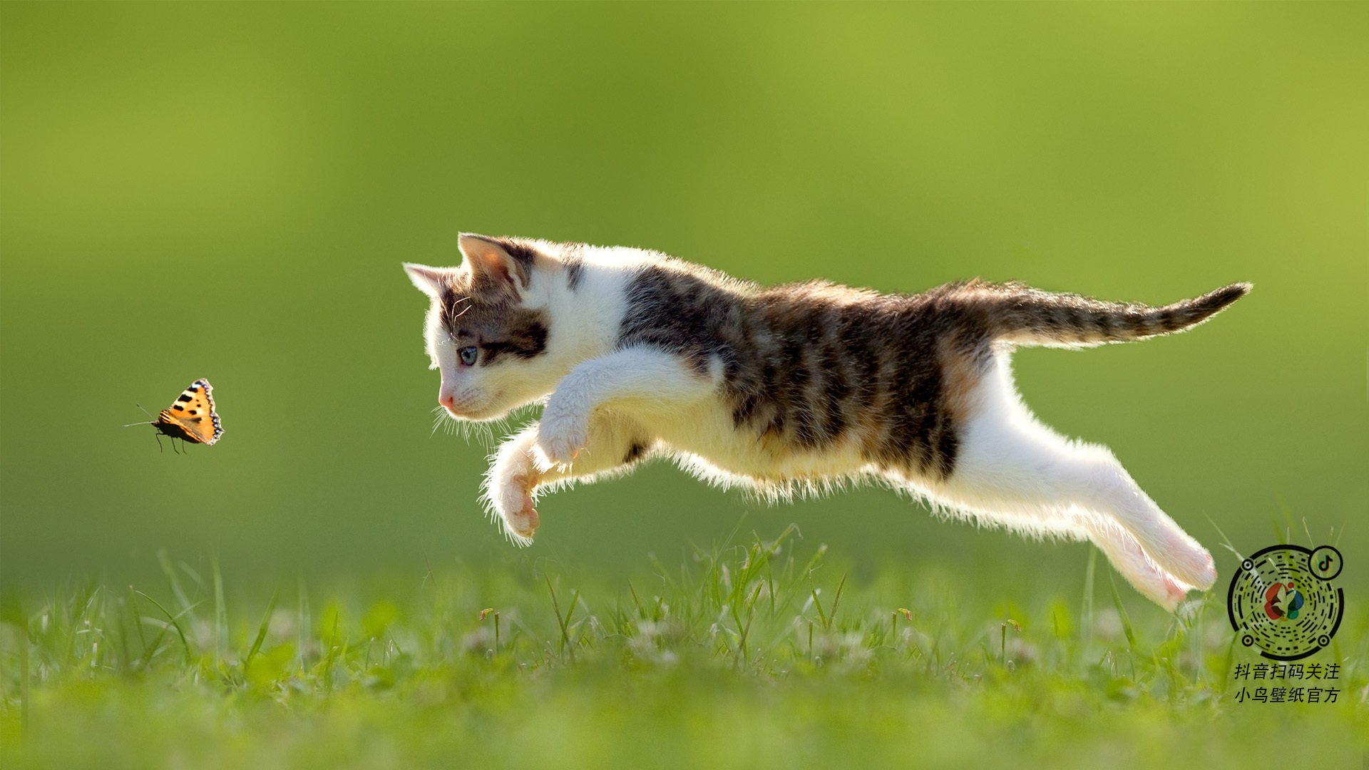 墨西哥对阵皇马，德布劳内的绿茵教科书