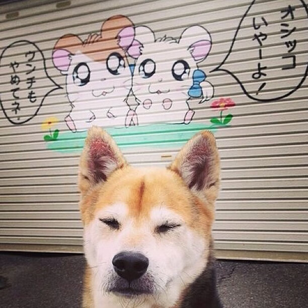 绝杀与艺术，布雷默如何用三秒钟点燃一个国家的希望